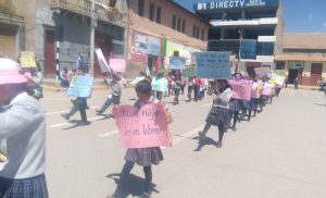 DIRECTORES DEBEN REMITIR PLAN LECTOR 2017