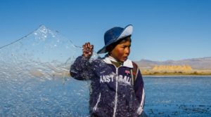 ACCIONES PREVENTIVAS ANTE LA PRESENCIA DE HELADAS.