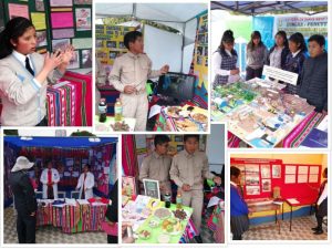 EVALUACION TRIMESTRAL – CEPLAN