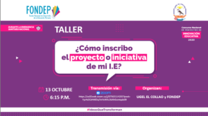 Participar en la asistencia Técnica del II Concurso Nacional de Proyectos de Innovación Educativa 2020