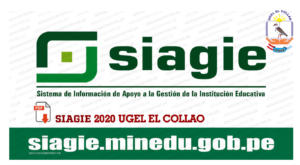 ORIENTACIONES PARA USUARIOS SIAGIE-2020-UGEL EL COLLAO