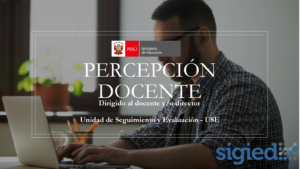RELACION DE DIRECTORES Y DOCENTE OMISOS A LA ENTREGA DE LA FICHA PERCEPCION DOCENTE