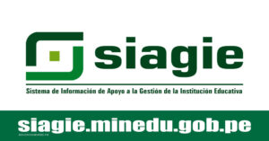 MANUAL PARA CONFIGURACION DEL AÑO ESCOLAR 2022 SIAGIE-UGELEC