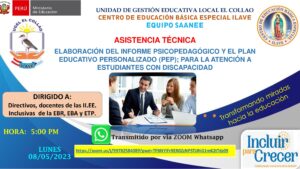 ASISTENCIA TÉCNICA: